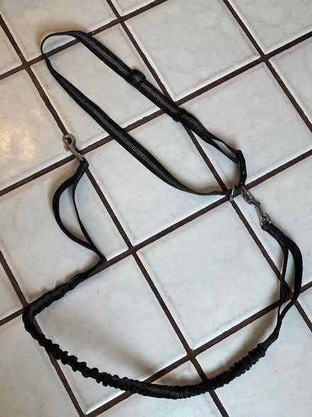 Photo of free Waist Dog Leash (Arlington) #1