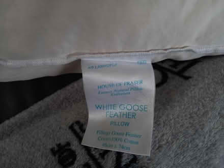 Photo of free Goose Feather Pillow (Collyhurst M40) #3