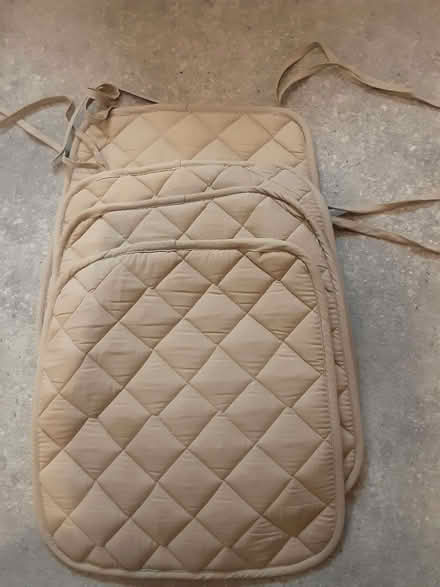 Photo of free Seat pads (Emmbrook RG41) #1