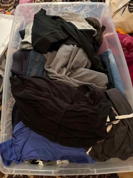 Photo of free Lot of maternity clothes (Roland park/Evergreen) #1