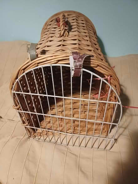 Photo of free Pet carrier (TN38 Bulverhythe) #1