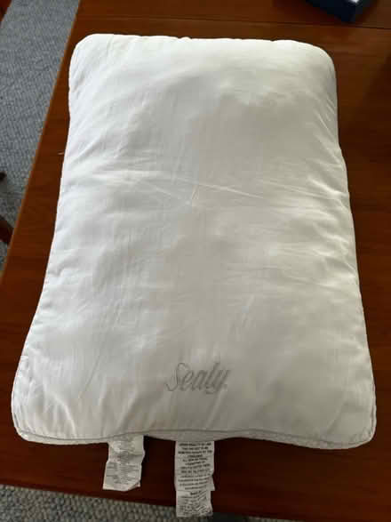 Photo of free Standard size bed pillow (Downtown Mountain View) #1
