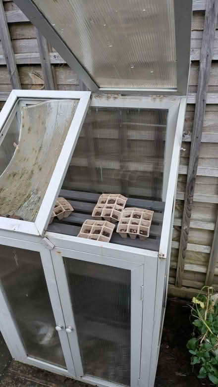 Photo of free Seedling Germination thing (Shrewsbury, Castlefields) #3