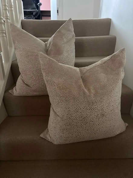 Photo of free 2 60x60cm cushions (W6 Hammersmith) #1