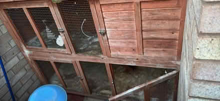 Photo of free Guinea pig hutch (Hereford HR4) #4