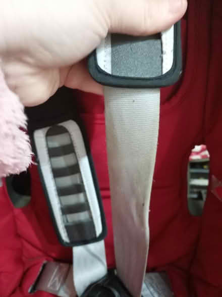 Photo of free Red brittax (Tudeley) #4