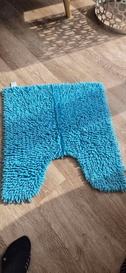 Photo of free Toilet mat (Narborough LE19) #1