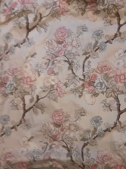 Photo of free Curtains with thermal lining (Emmbrook RG41) #1