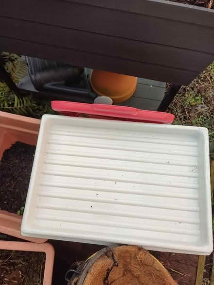 Photo of free Marbling Tray for Crafts (Central Preston PR1) #1