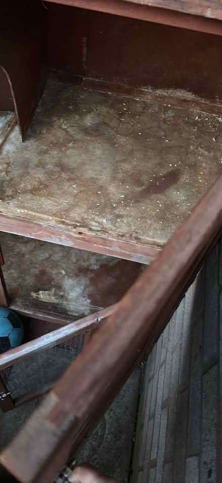 Photo of free Guinea pig hutch (Hereford HR4) #1