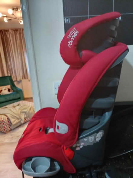 Photo of free Red brittax (Tudeley) #2