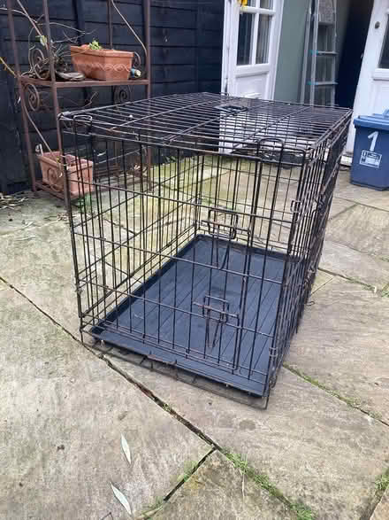 Photo of free Dog crate (Hackney E9) #1