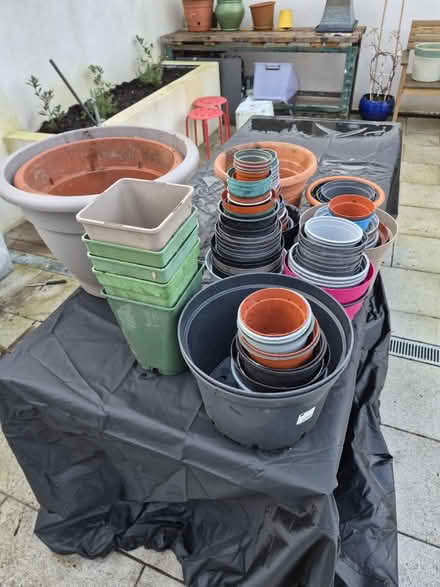 Photo of free Plastic plant pots (Crumlin) #1