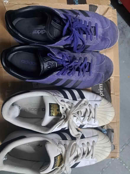 Photo of free Adidas trainers Size 10UK (Botley OX2) #1