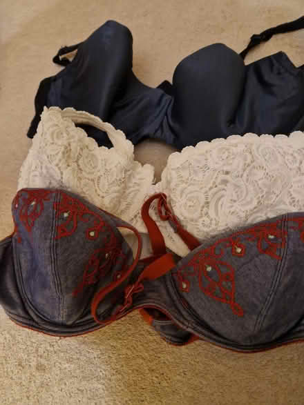 Photo of free Bras 34c (Juniper Green, EH14) #1