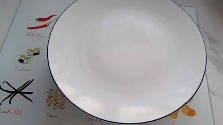 Photo of free 4 habitat dinner plates (Ditton ME20) #1