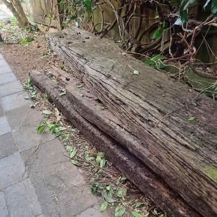 Photo of free Macrocarpa railway sleepers (North Shore - Auckland) #2