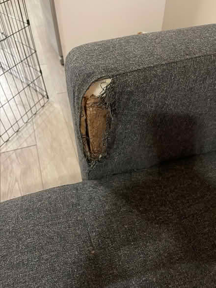 Photo of free Couch with chaise and loveseat (Stratford) #3