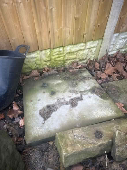 Photo of free Garden slabs - S6 (Wisewood S6) #2