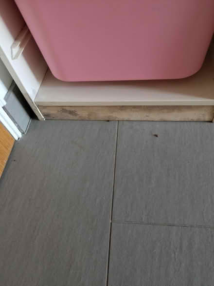 Photo of free Ikea Trofast Kids Toy Storage (Thatcham RG18) #3