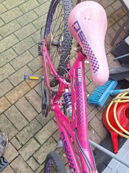 Photo of free Girl's teen woman s pink bike (S21) #2
