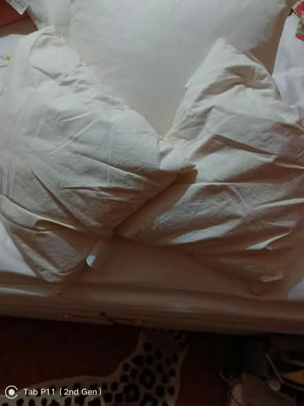 Photo of free Feather cushions (Minster Lovell) #1