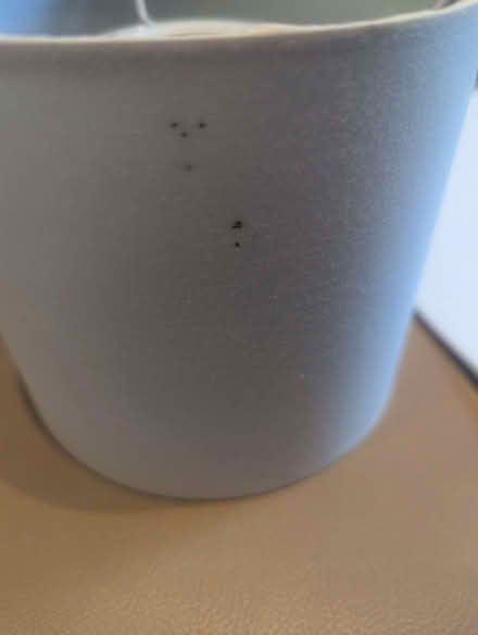 Photo of free Two small lampshades for bedside lamps (Chalkwell SS9) #4