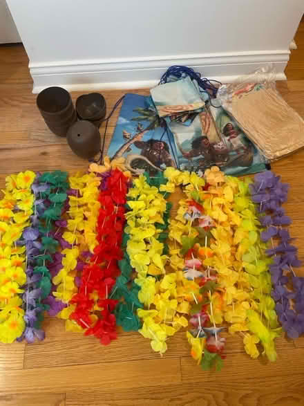Photo of free Moana/Hawaiian Themed Items (Roselle Rd & 390) #1
