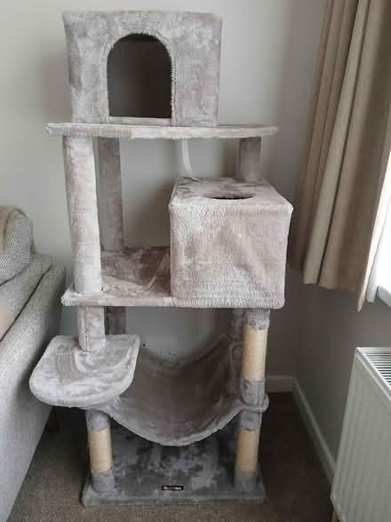 Photo of free Cat tree (Wallisdown BH12) #1
