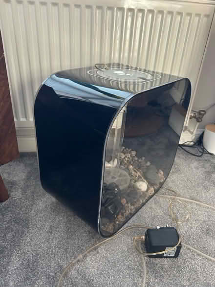 Photo of free Bio orb fish tank (Peel hall M22) #3