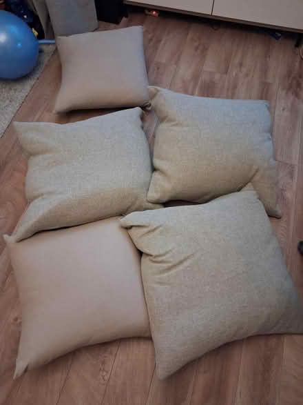 Photo of free Feathered pillows (New addington) #1