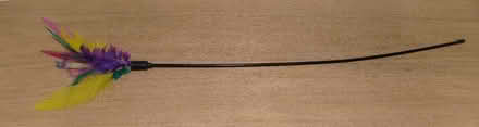 Photo of free Cat toy (Rodborough GL5) #1