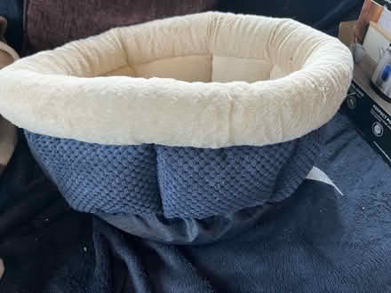 Photo of free Blue circle catbed (HP3 Bennett’s end) #2