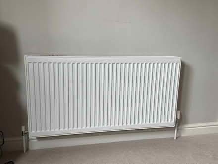 Photo of free Central heating column and panel radiators (Twerton) #1