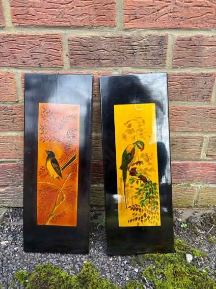 Photo of free Bird pictures (Cherry Hinton CB1) #1