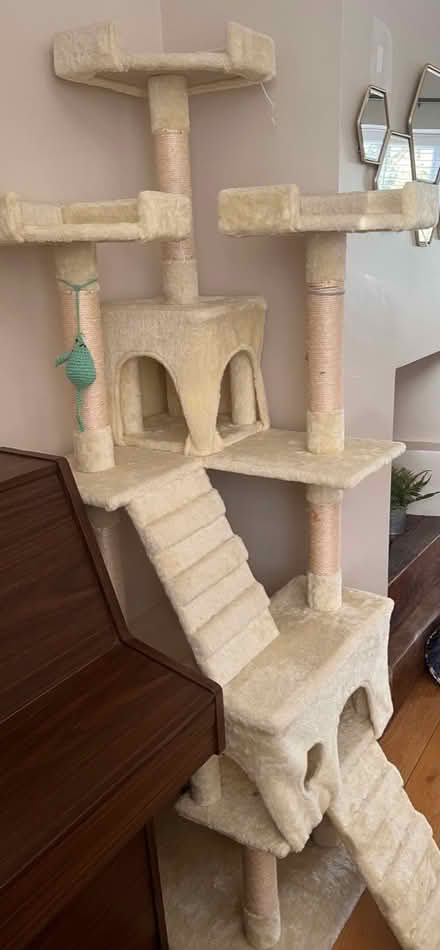 Photo of free Large cat tree (S70 worsbrough) #2