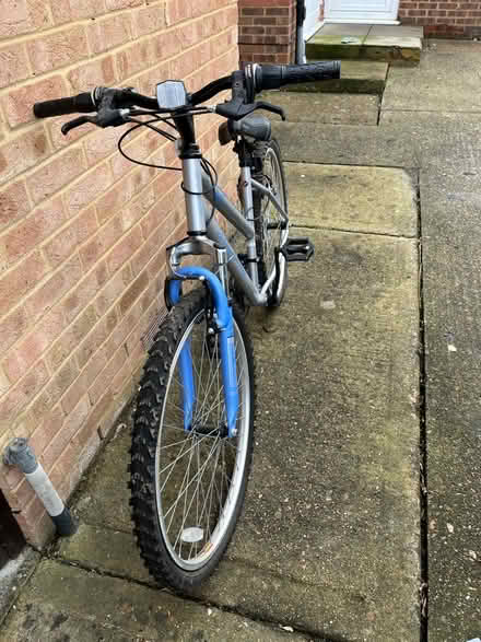 Photo of free Teenage girl/Woman’s Bicycle (Heston UB2) #3