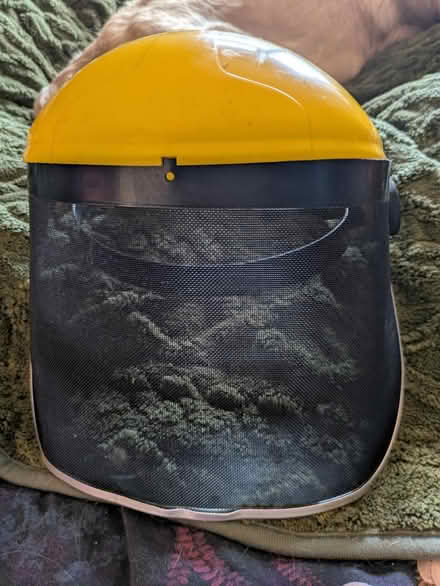 Photo of free Forestry face guard (Fry’s Hill OX4) #1