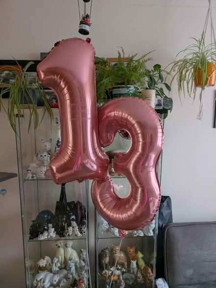 Photo of free 13th birthday decorations (Eaglestone MK6) #2