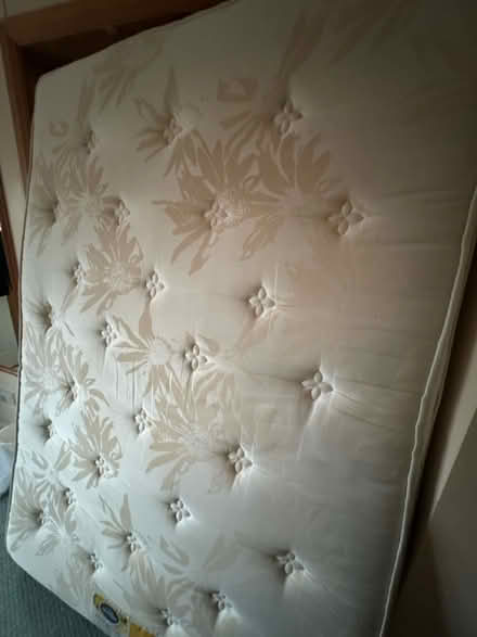 Photo of free Double Mattress Cushion-top (St Leonards-on-Sea TN37) #4