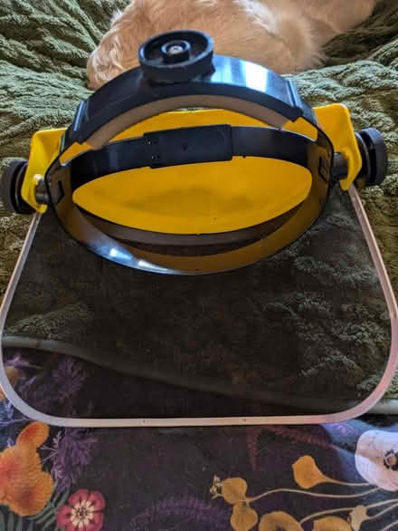 Photo of free Forestry face guard (Fry’s Hill OX4) #2