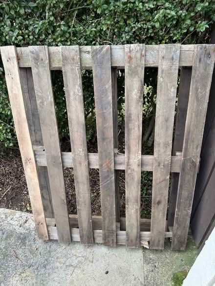 Photo of free wooden pallet (Nafferton YO25) #1