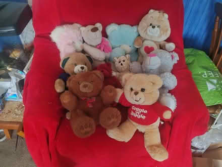 Photo of free Selection of teddy bears (Salfords RH1) #1