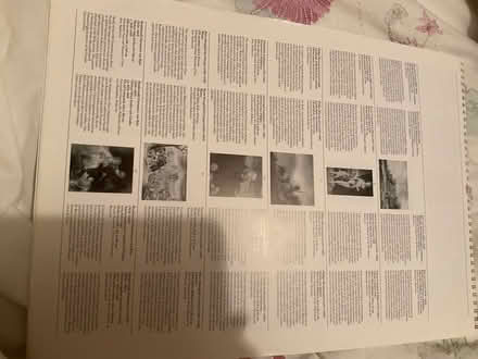 Photo of free Fine art calendars (Sligo town) #2