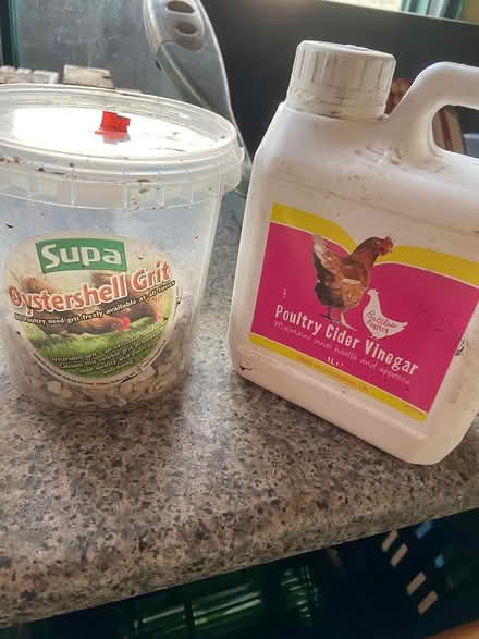 Photo of free Chicken stuff (Portsmouth) #1