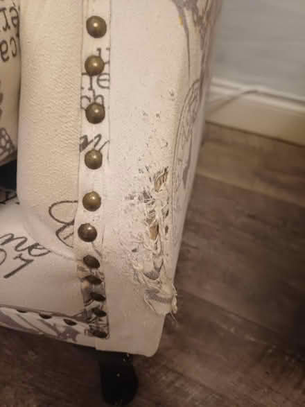 Photo of free Lovely 2 armchairs (Hemel Hempstead HP1) #2