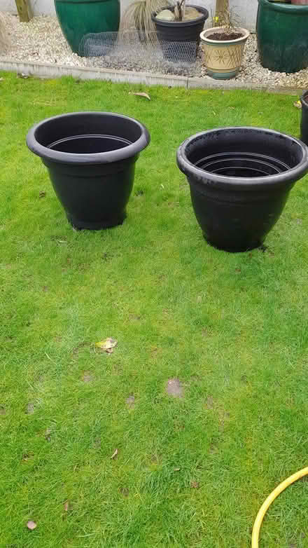 Photo of free 50cm × 50cm plant pots (Dagenham RM8) #1