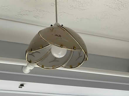 Photo of free Light shade (Little Plumstead NR13) #2