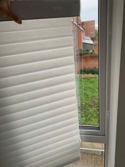 Photo of free 1 set of Blinds full height window (Acton W3) #3