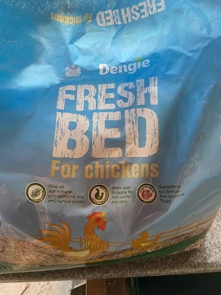Photo of free Chicken stuff (Portsmouth) #3